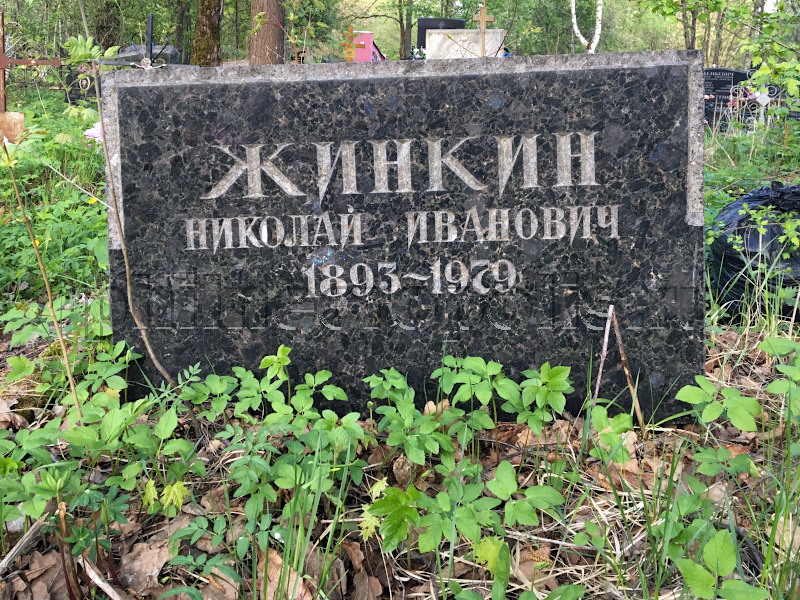 zhinkin