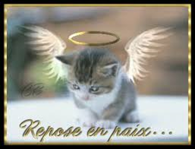 [Image: goldorak9-59f33602e339c.png]