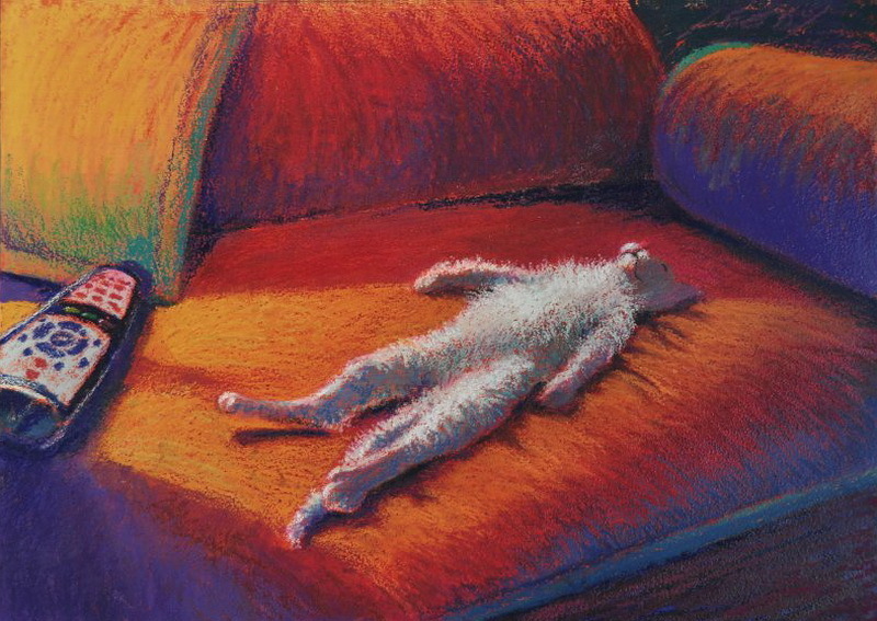 cat-Jeff-Leedy-7