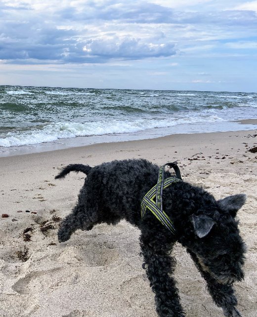 7-F7-DEF8-E-55-A3-4-B88-853-D-7-AFEDEFE7