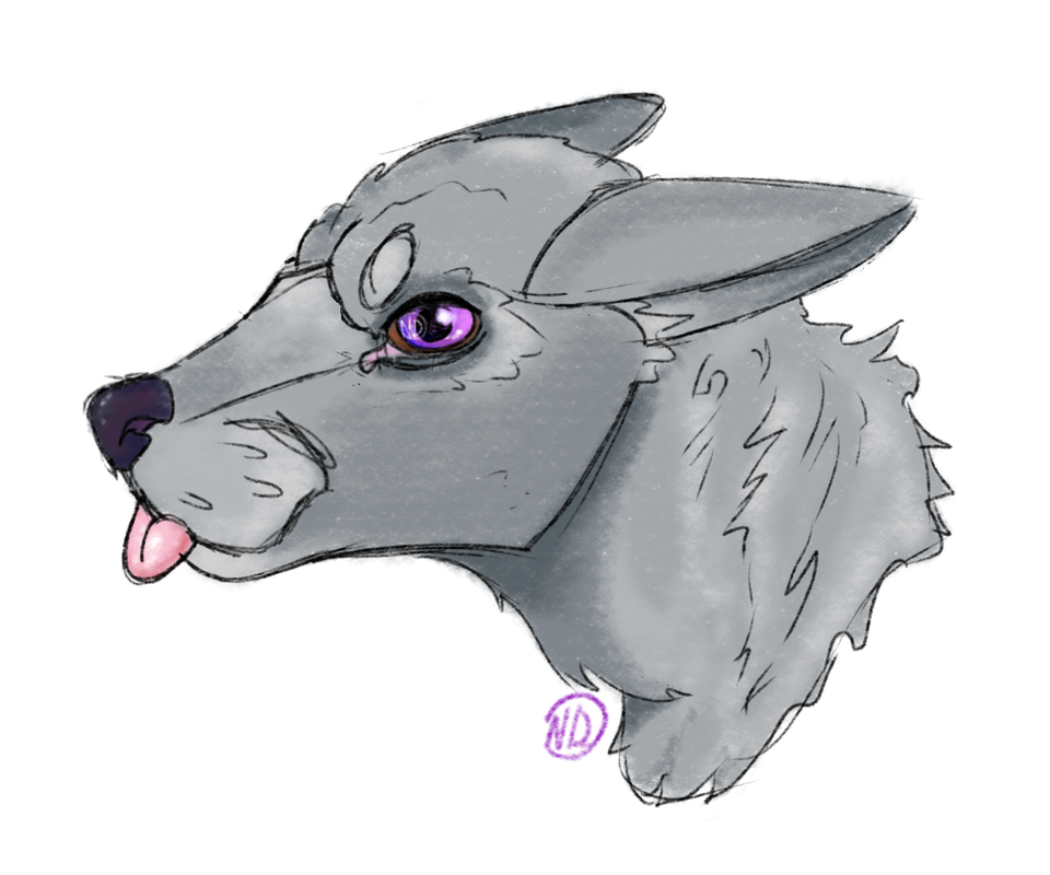 Untitled399 20250209141942