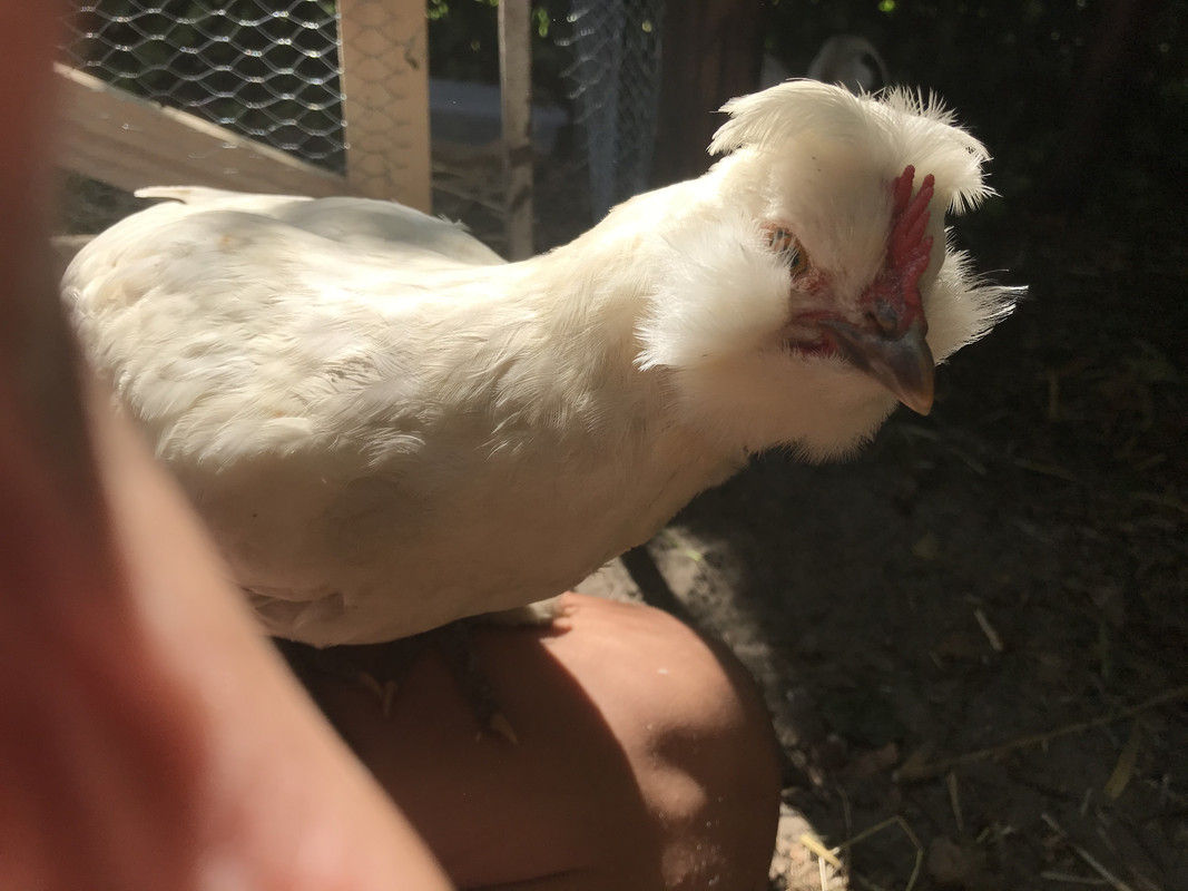 C8060C07-A165-43A7-B0BD-BB999D801976