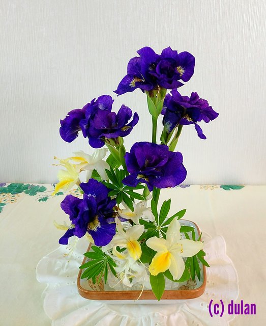 [Image: IMG-20240618-183521.jpg]