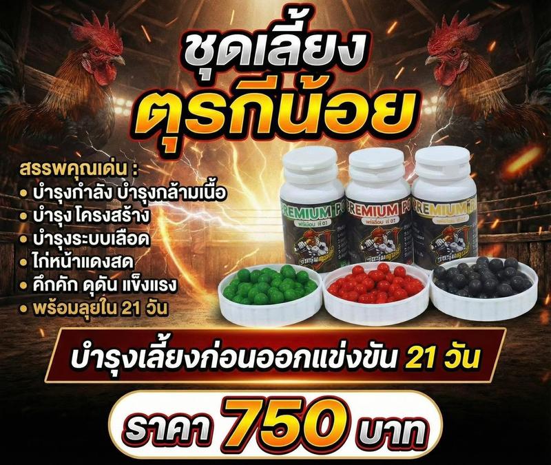 ชุดเลี้ยงตุรกีน้อย (PREMIUM P01+P02+P03)