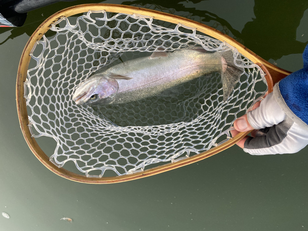 33442552-9FE5-4408-8DDC-A644D1364B53