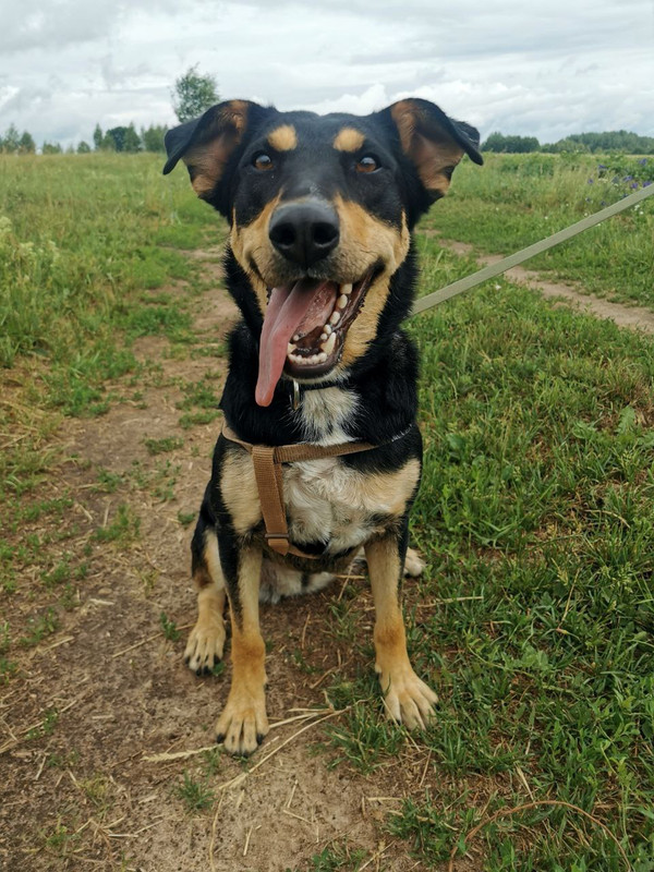 photo_2023-06-29_20-49-47