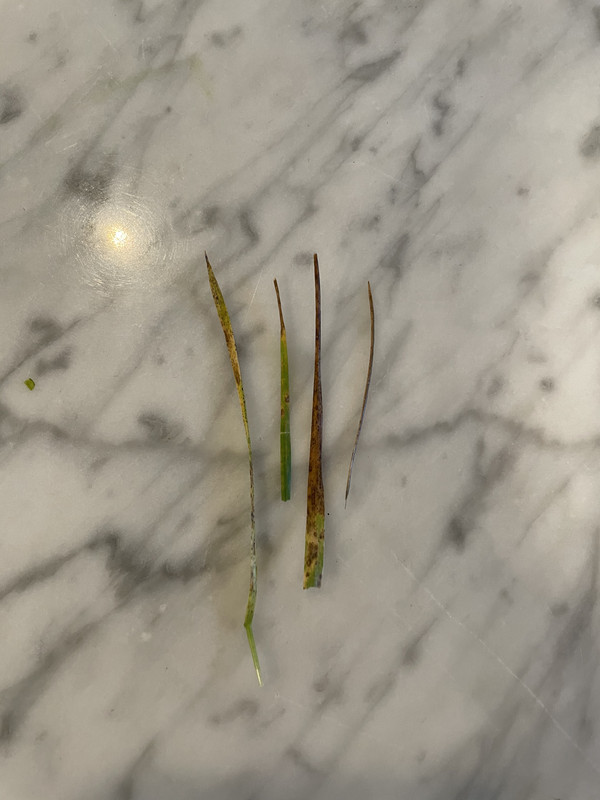 1E5A09BB-28B8-4B9C-AFE6-78DA0F5882A0