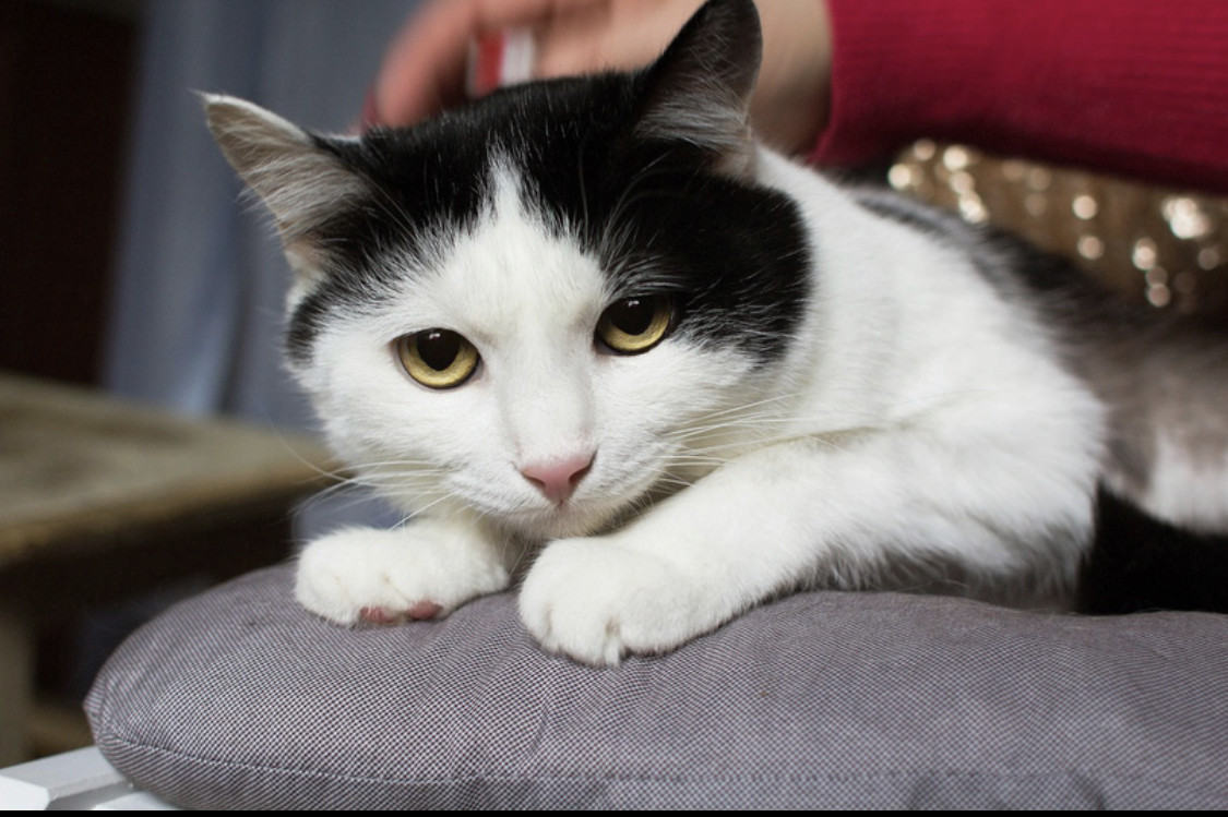 8EF6D63C-1661-4FE6-9DC9-5E2E9A5291D5