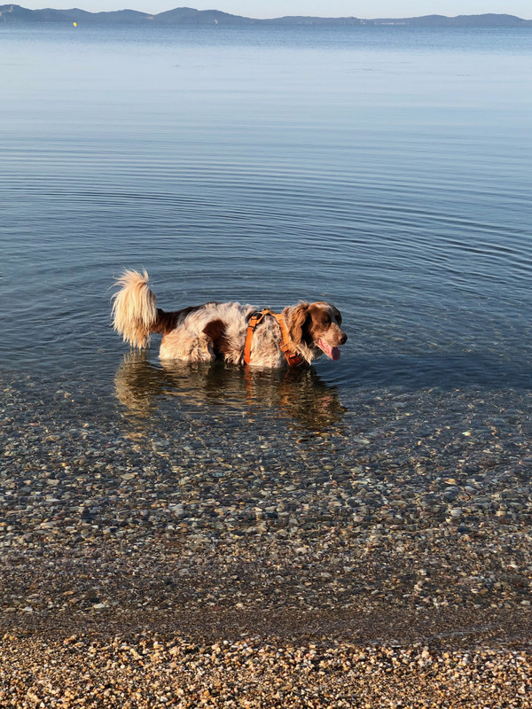 5226348D-142B-431F-AE6F-A2854EE590DC