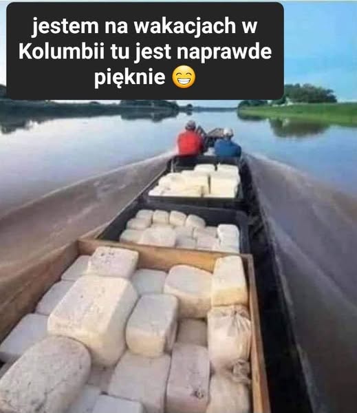 554988771-24875606192059053-159485308398