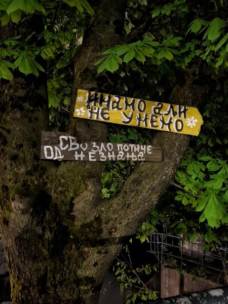 Slika