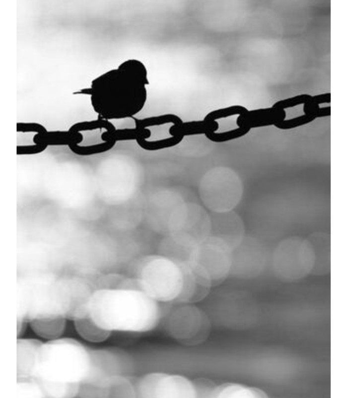 ٢٠٢١٠٦٢٤_٢٣٠٤٠٦