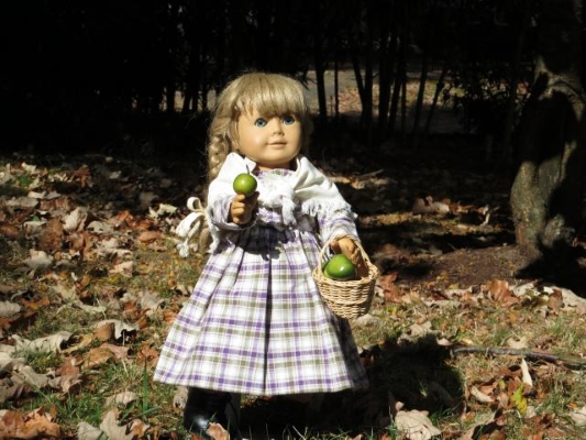 American girl hotsell purple plaid dress