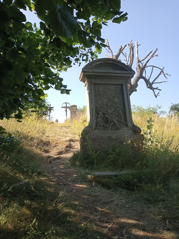 IMG-20190706-170203