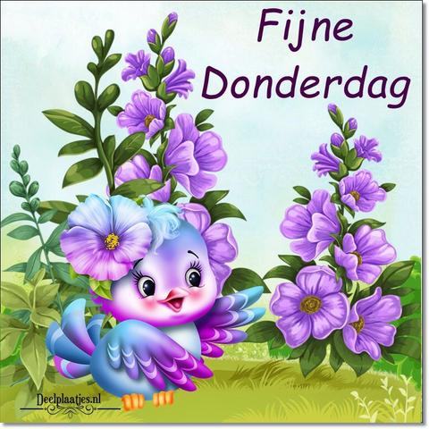 deelplaatjes-nl-ik-wens-jullie-een-fijne-donderdag-toe-429661