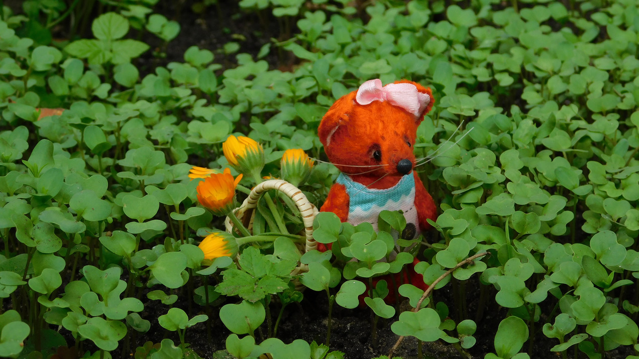 Август дачный кукольный 2023 078