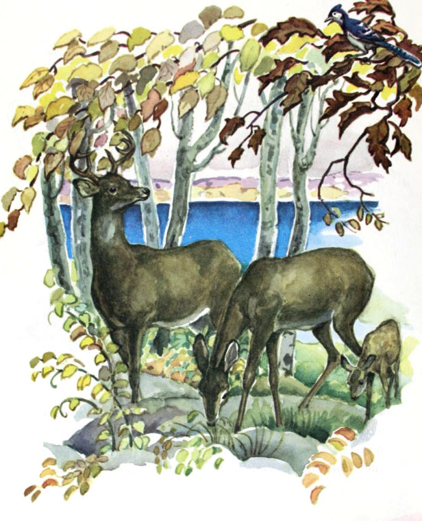 17-9
