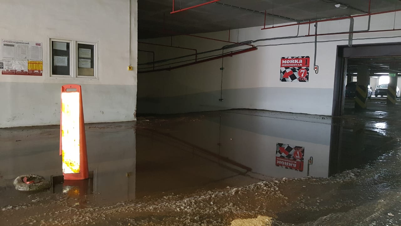 WhatsApp Image 2018-12-02 at 13.56.45