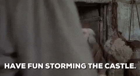 have-fun-storming-the-castle.gif