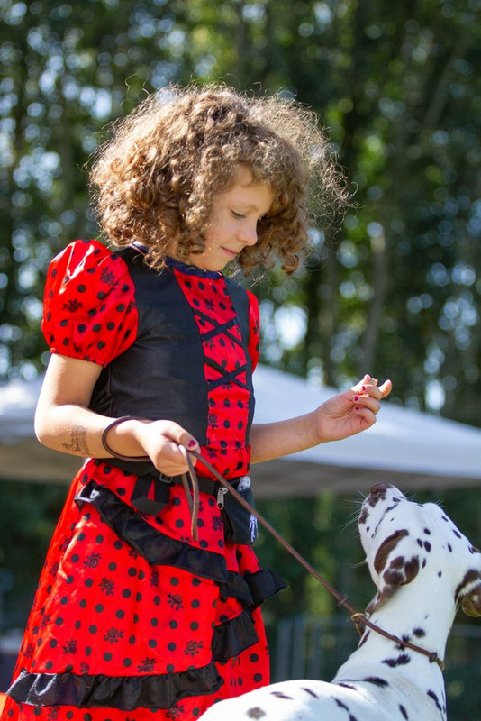 17541039-f14ebfcee3beb7f1814d