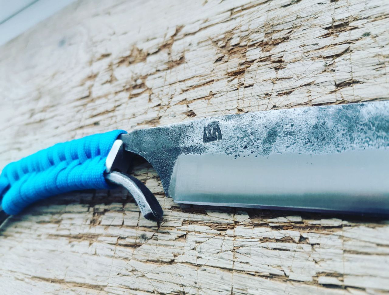 photo 2 2026 02 16 09 57 01