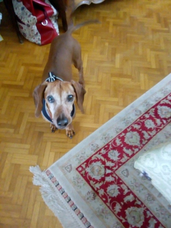 [Image: image000000-120.jpg]