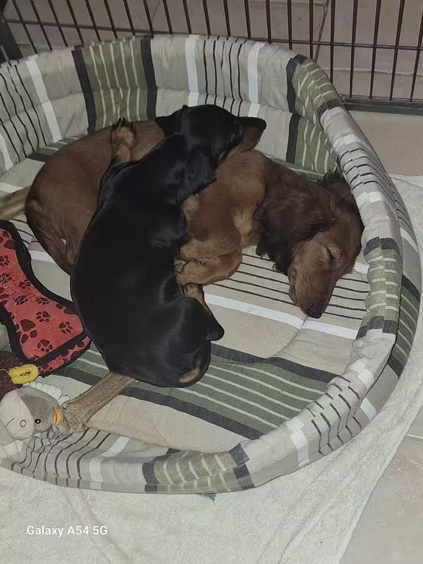 [Image: 20241011-212645.avif]