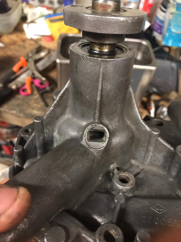 WhatsApp Image 2021-06-11 at 19.39.20