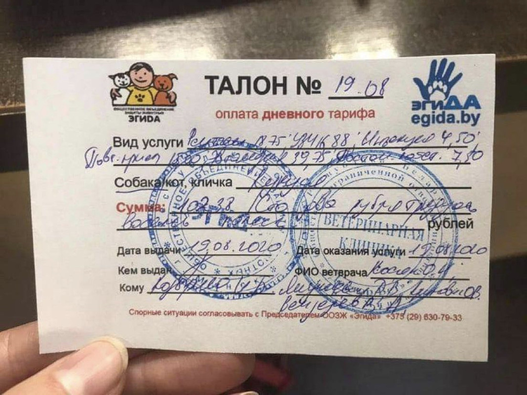 874E5376-E9E1-4F15-919D-3F8FC7889489