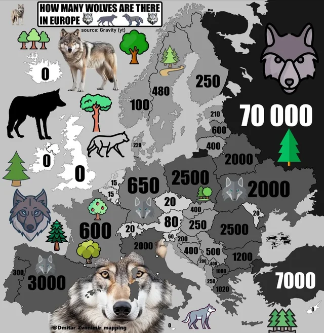 https://i.postimg.cc/fyJwYpm3/image.png