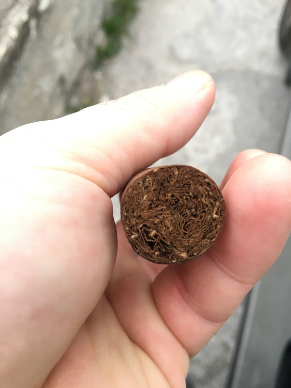 6B63F688-17E9-43BA-8F0D-55CAAFC928BA