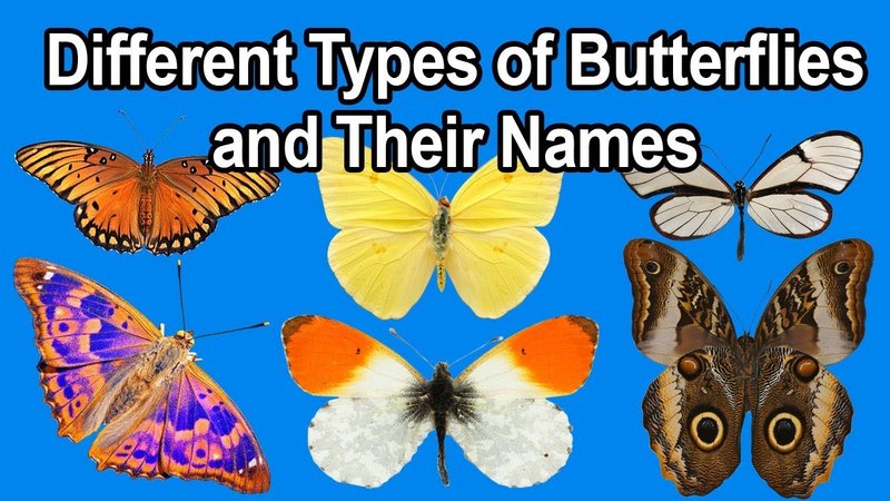 [Image: maxresdefault-2.jpg]