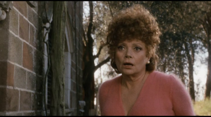 vlcsnap-2022-09-24-20h50m44s784