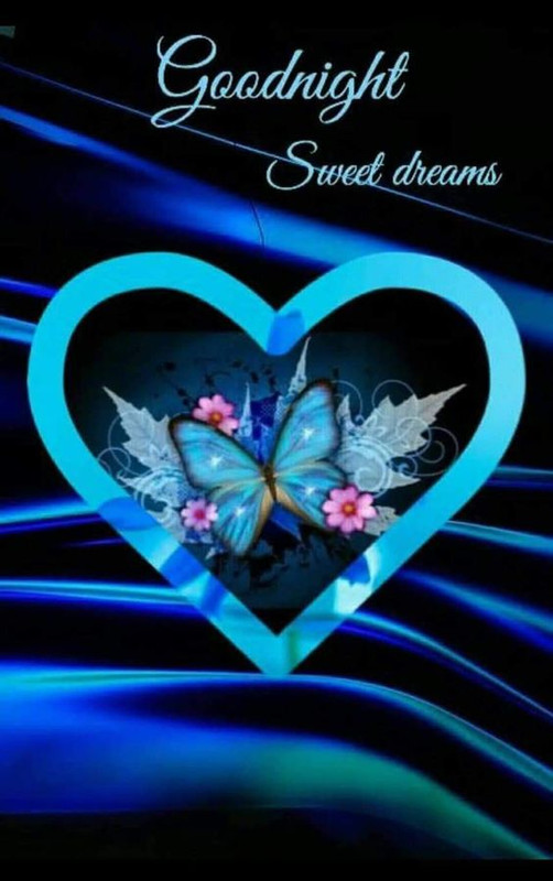 HEART-BLUE-BUTTERFUL-NIGHT