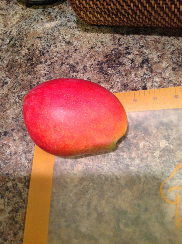 56654efa44298d13ce55891229806d52