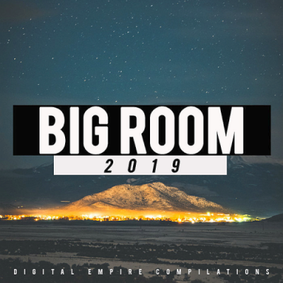 VA - Big Room (2019)