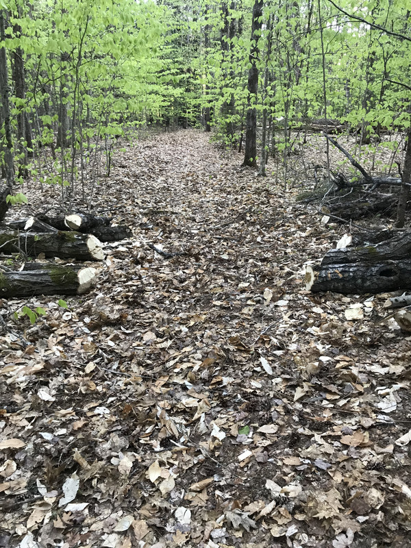 B78D44CD-C0A9-4253-8537-B2EF47B9E33D