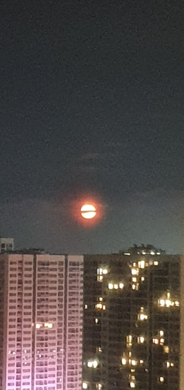 5556d09d3ccff791aede