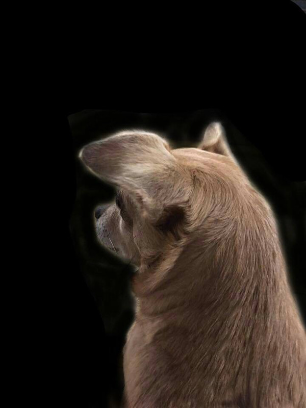 7F98CA3F-7AB0-425D-88FB-E9EA01DBE016