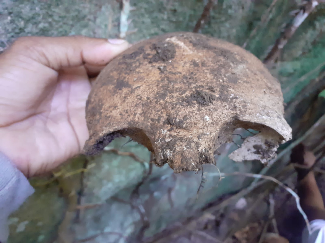 B5075F06-8F09-4FCE-9DF8-0361C4448B4C