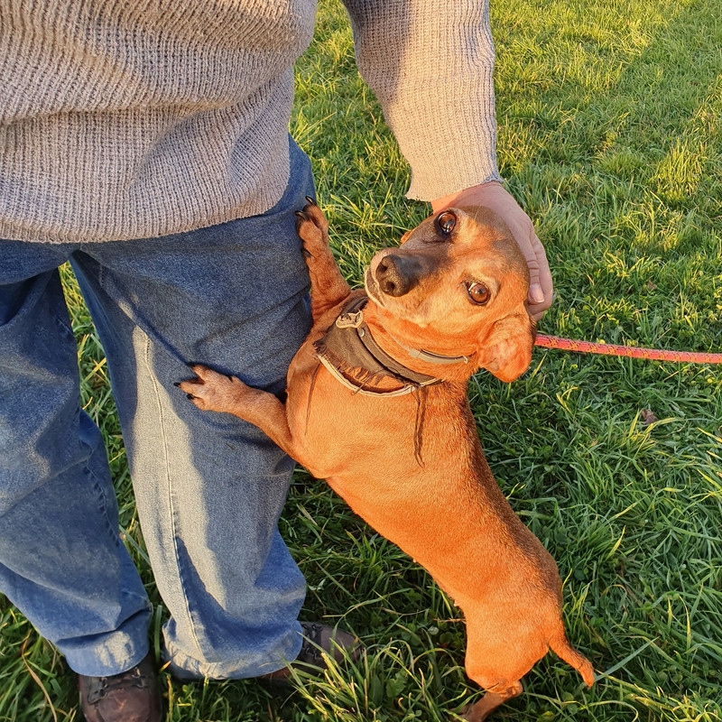 [Image: 20211118-164257.jpg]