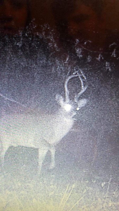 received_646914586223529