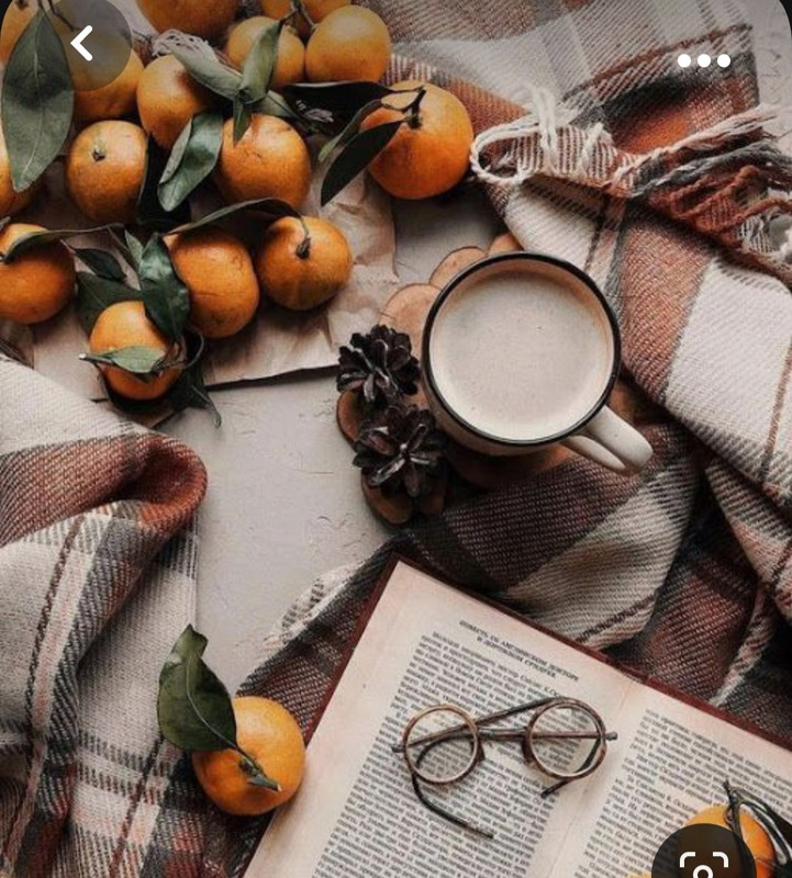 Screenshot_20230923_192429_Pinterest