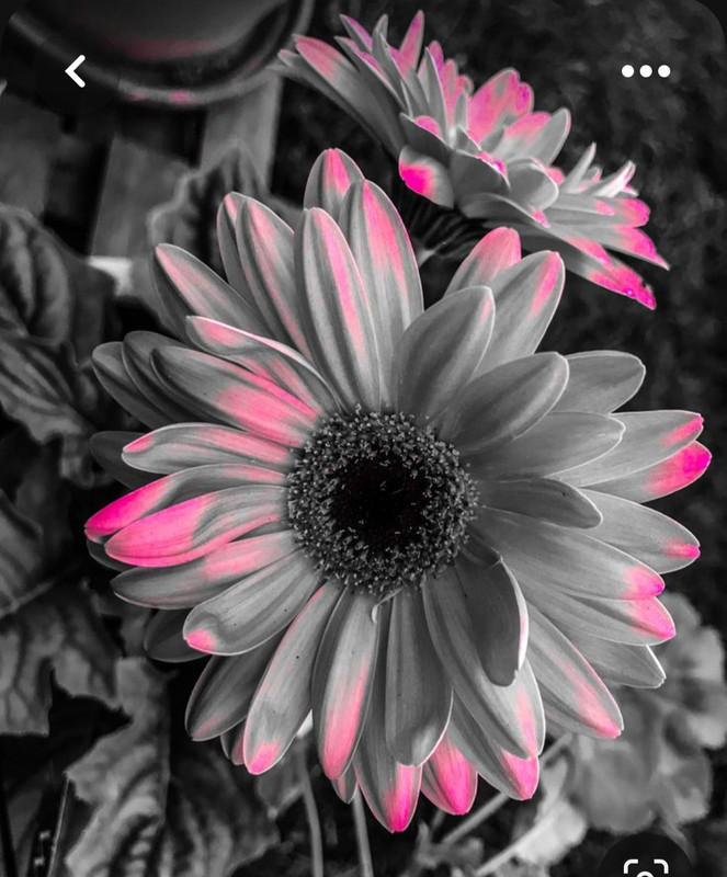 Screenshot_20230724_220844_Pinterest