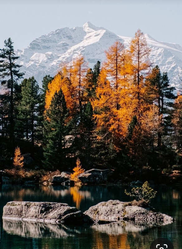 Screenshot_20240131_210458_Pinterest