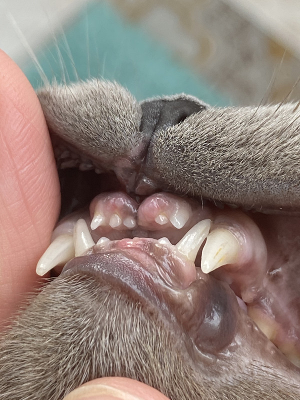 5D942ADC-D527-4FDD-AE6D-DD791CB5A858