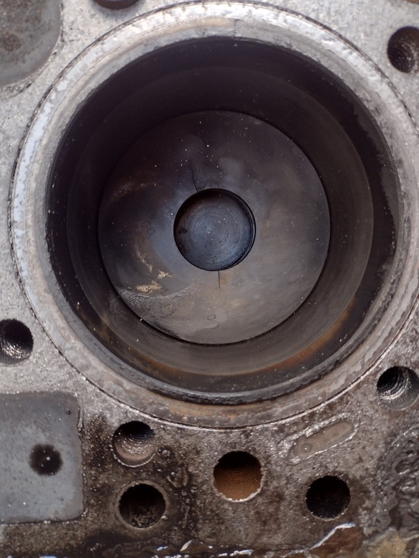 IMG-20221112-111629447-HDR.jpg