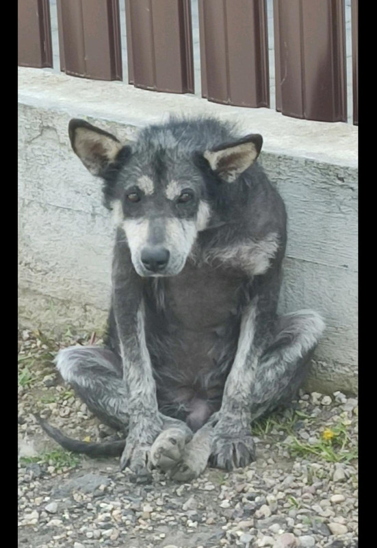 4DAD1C6A-76B5-4668-BB2D-8E6AFE01D2AF