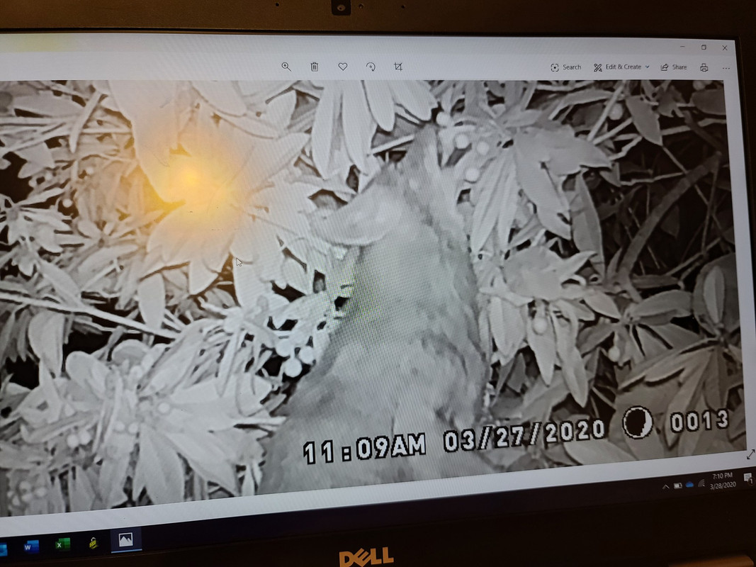 3787A6C0-4040-4B26-9B74-B70BF302E0A2