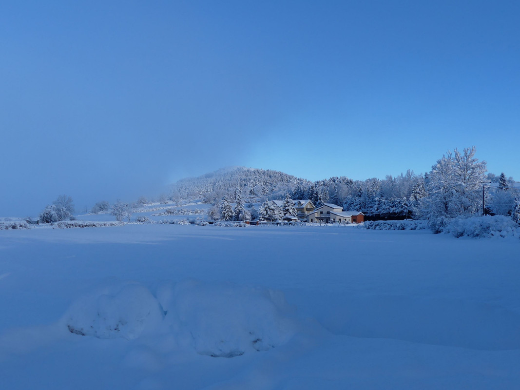 P1100238.jpg